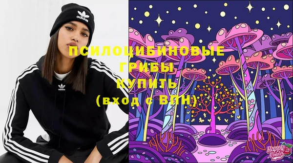 твердый Абинск