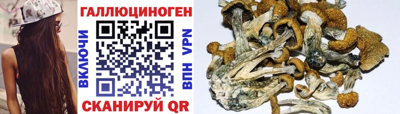 Галлюциногенные грибы Psilocybe  MEGA маркетплейс  Усть-Кут 